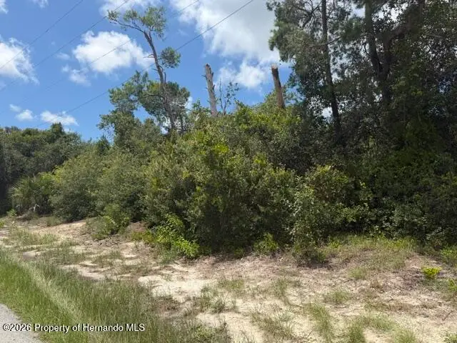 0 Sandra Drive, Weeki Wachee, FL 34607 - #3