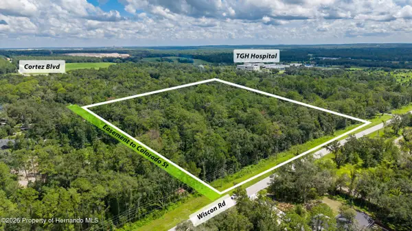 10.3 Acres Wiscon Road, Brooksville, FL 34601