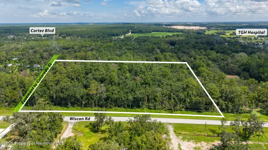 10.3 Acres Wiscon Road, Brooksville, FL 34601 - #2