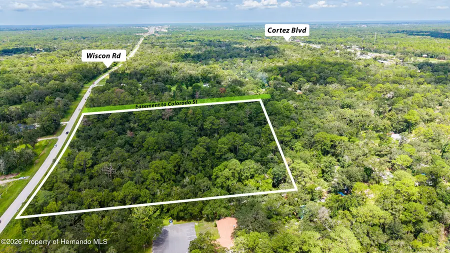 10.3 Acres Wiscon Road, Brooksville, FL 34601 - #3