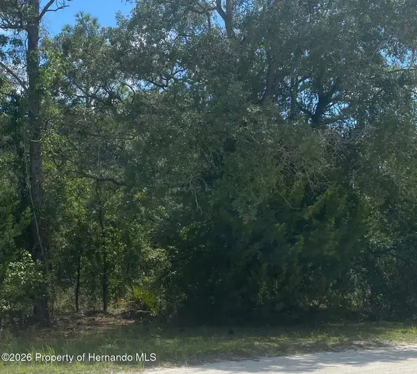 0 Peaceful Avenue, Weeki Wachee, FL 34614