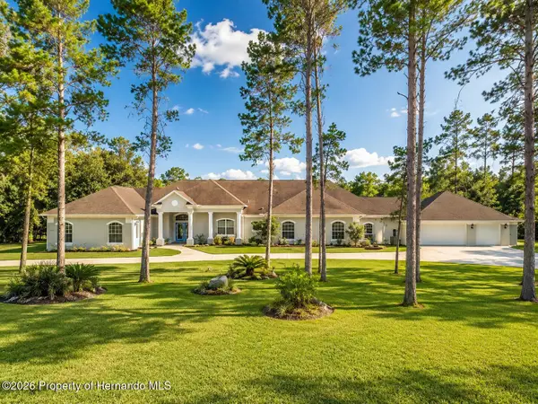 11200 Woodland Waters Boulevard, Weeki Wachee, FL 34613