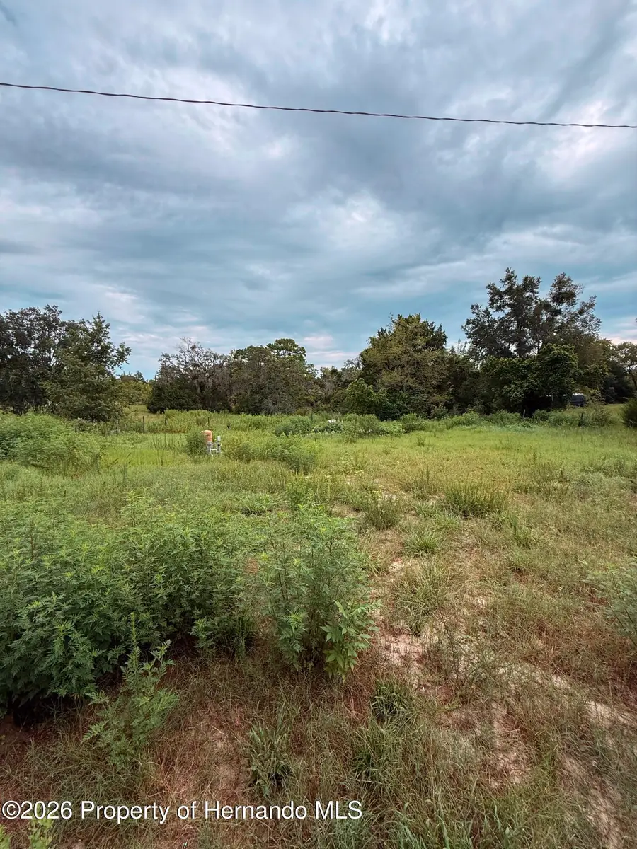 16036 Bosley Drive, Shady Hills, FL 34610 - #3