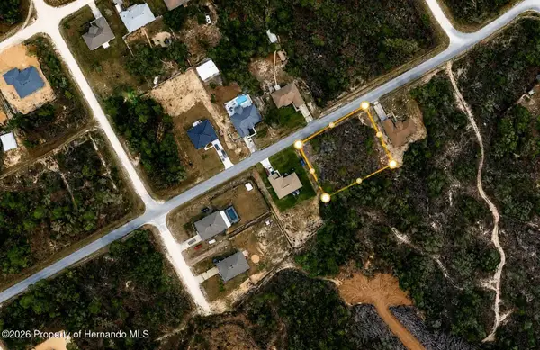 12410 Barnevelde Road, Weeki Wachee, FL 34614