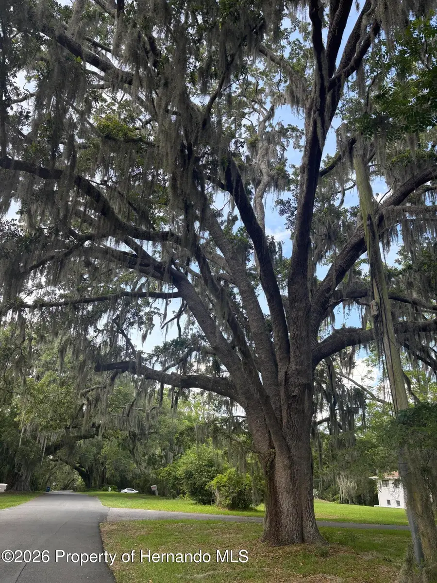0 S Mildred Avenue, Brooksville, FL 34601 - #2