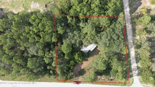 650 NE 138th Avenue, Williston, FL 32696