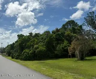 12365 Barrow Street, Spring Hill, FL 34609 - #2