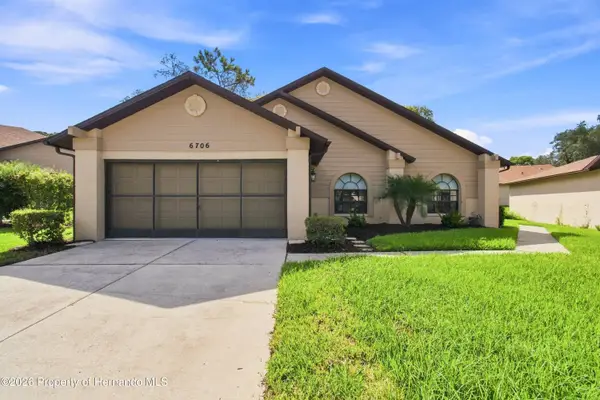 6706 Oak Cluster Circle, Spring Hill, FL 34606