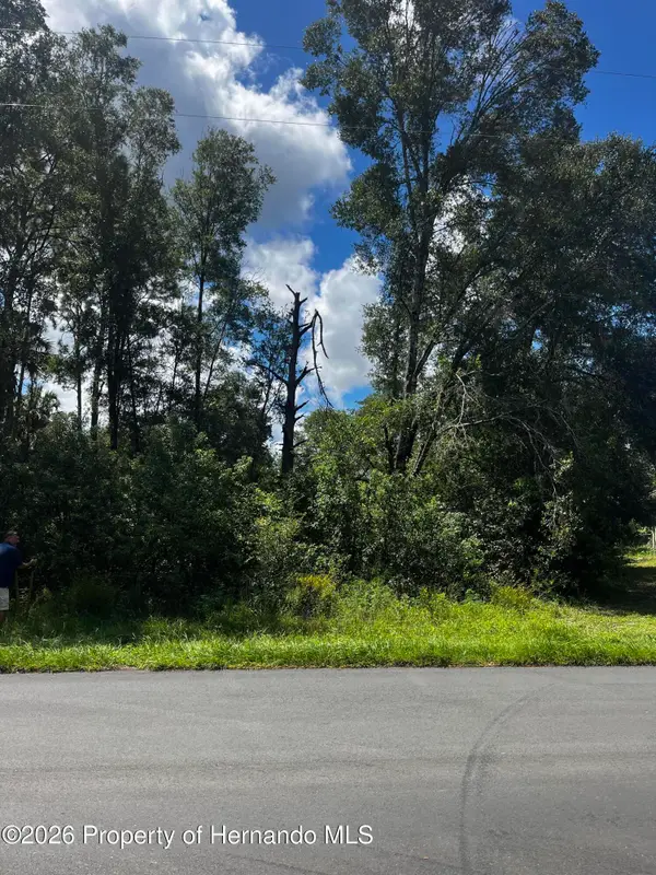 8534 W Basilico Street, Crystal River, FL 34428