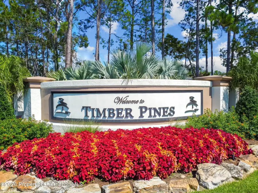 6802 Plumleaf Court, Spring Hill, FL 34606 - #2