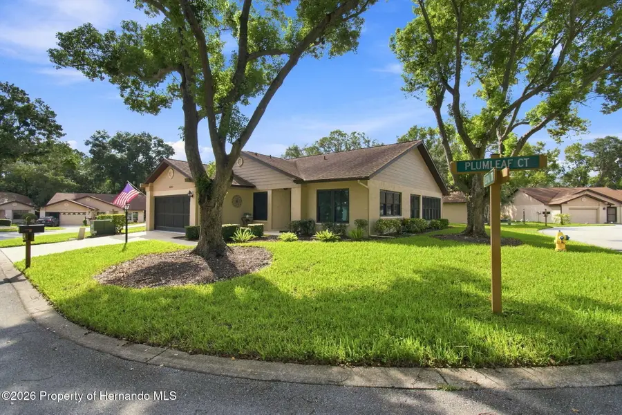 6802 Plumleaf Court, Spring Hill, FL 34606 - #3