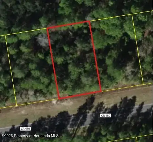 6407 W Oak Park Boulevard, Homosassa, FL 34446