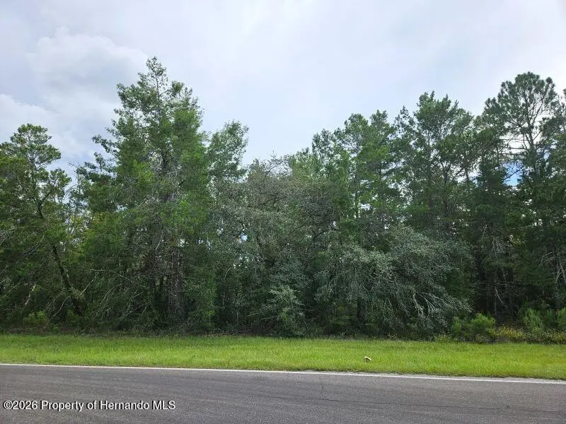 5770 W Oak Park Boulevard, Homosassa, FL 34446 - #3