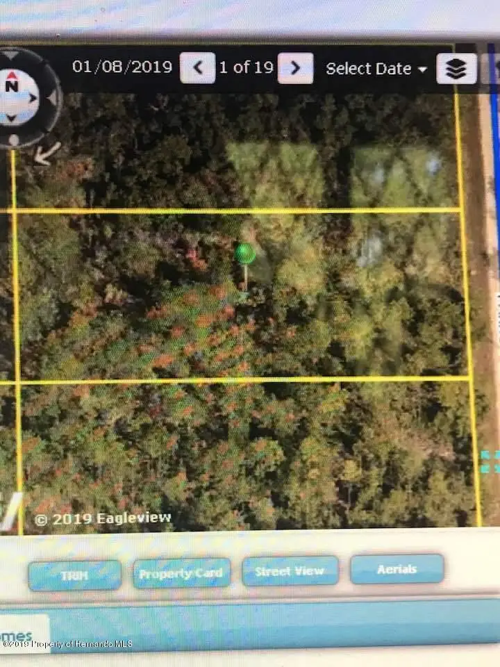 0000 Parrot Road, Weeki Wachee, FL 34614 - #2