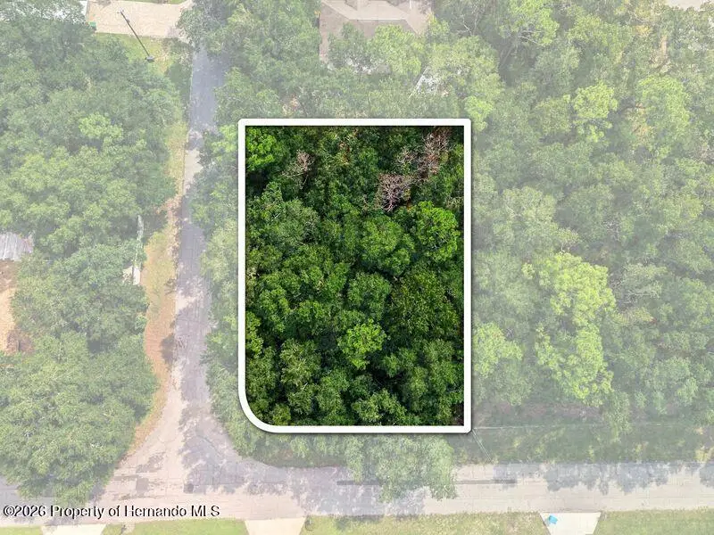 1614 W Hill Lane, Brooksville, FL 34605 - #3