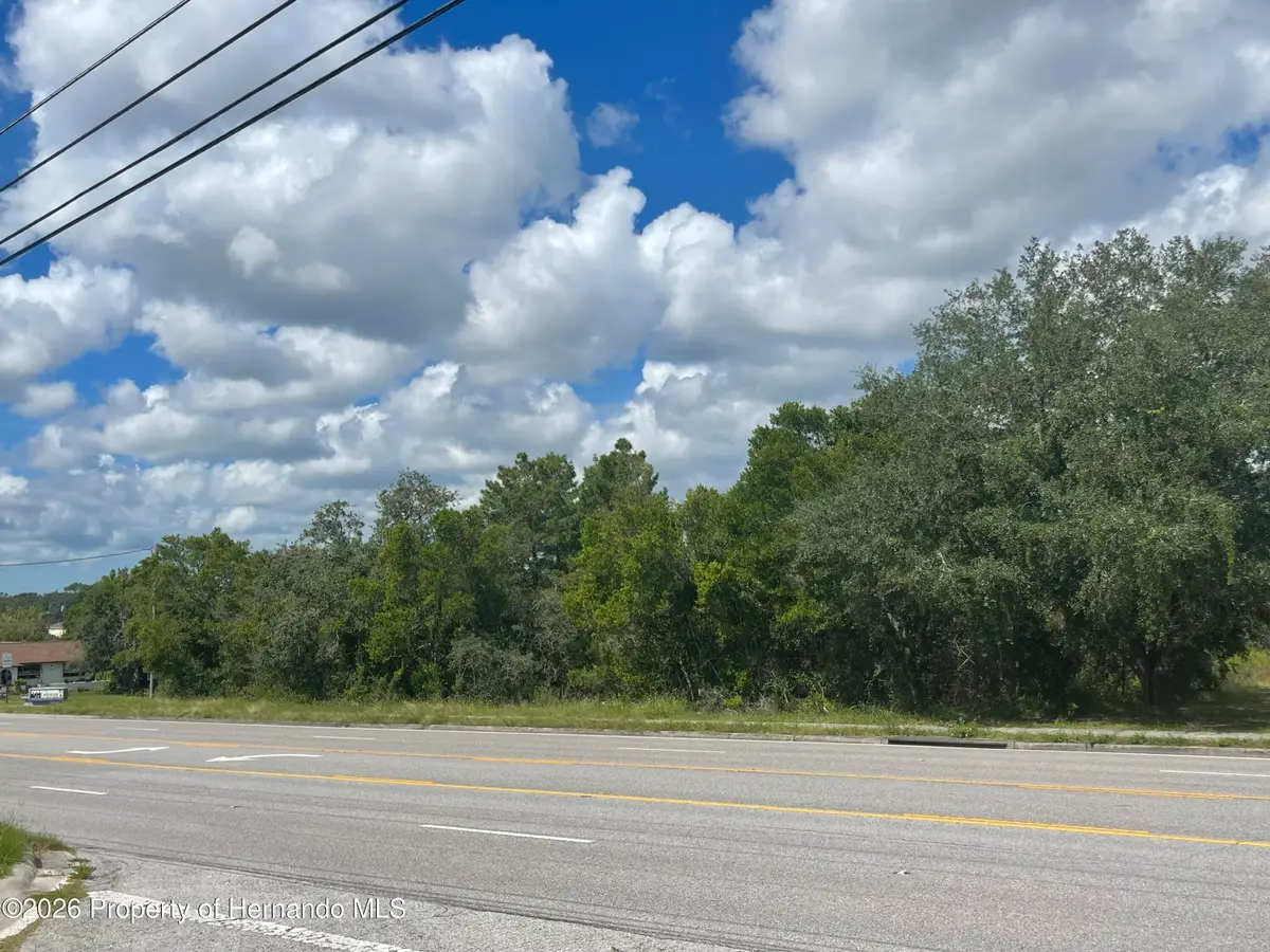 6159 Mariner Boulevard, Spring Hill, FL 34609 - #1