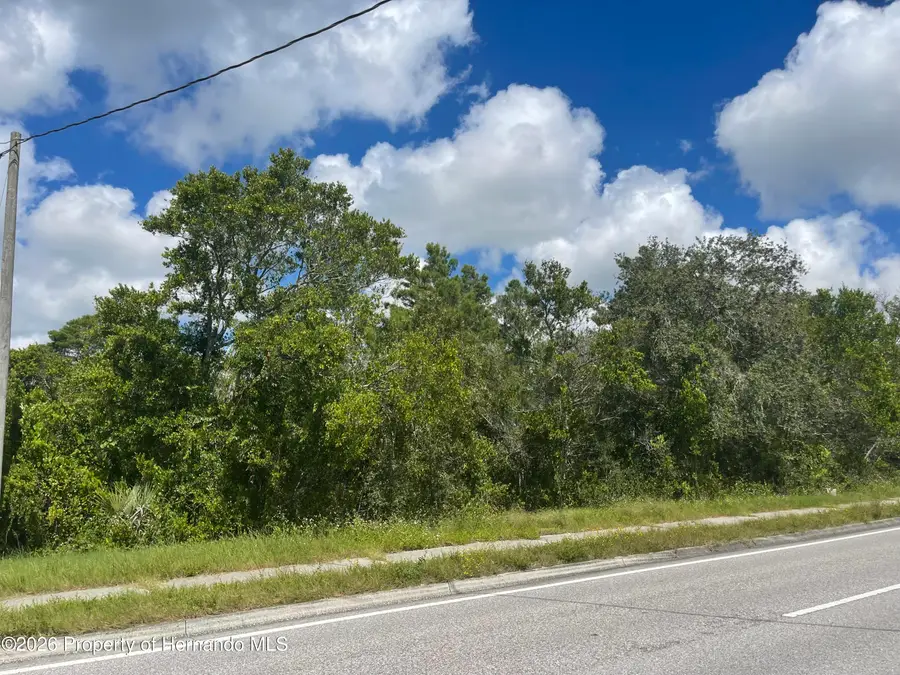 6159 Mariner Boulevard, Spring Hill, FL 34609 - #3