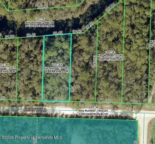 34338 Berryhill Drive, Webster, FL 33597 - #1