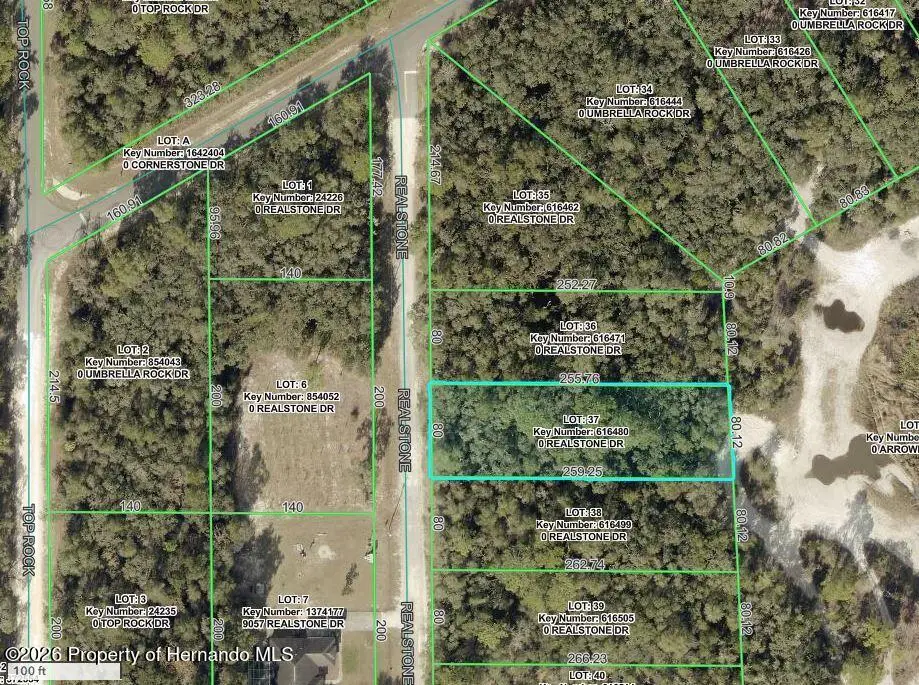 9088 Realstone Drive, Webster, FL 33597 - #1