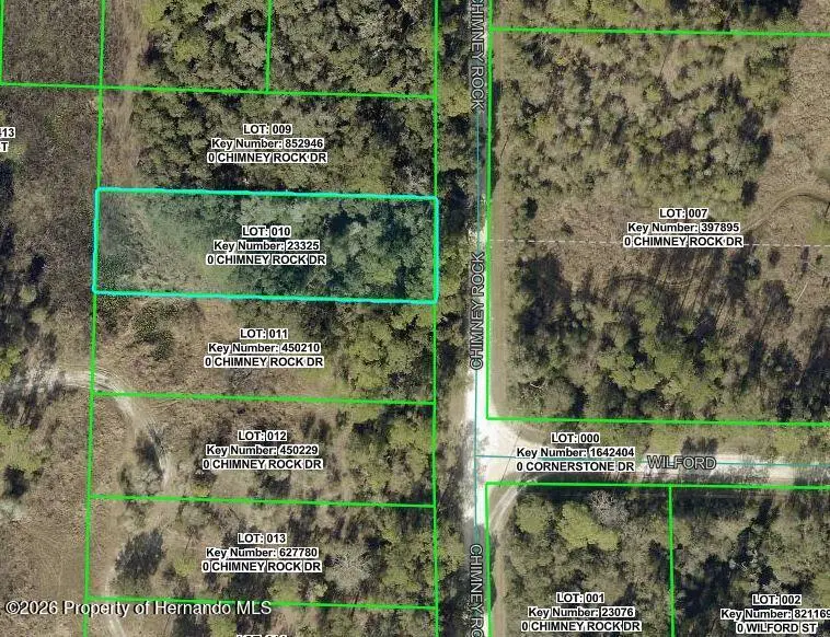 9111 Chimney Rock Drive, Webster, FL 33597 - #1