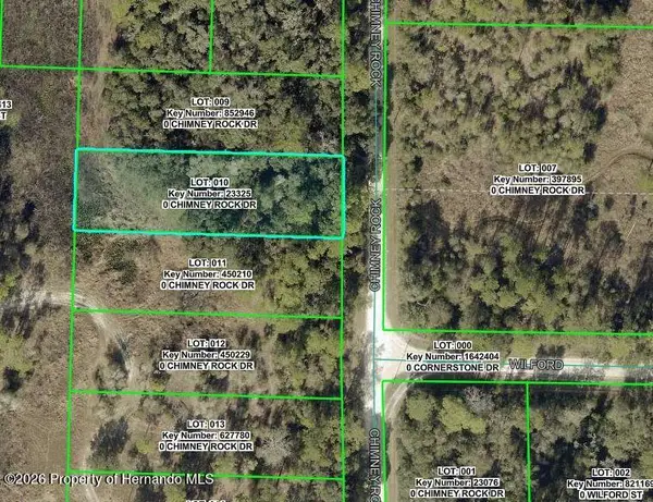 9111 Chimney Rock Drive, Webster, FL 33597