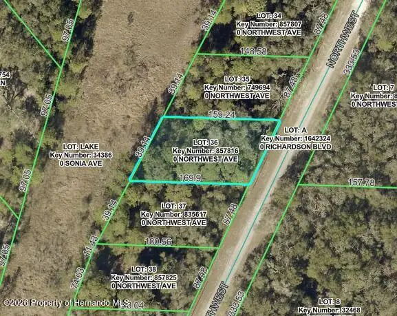 7352 Northwest Avenue, Webster, FL 33597 - #1