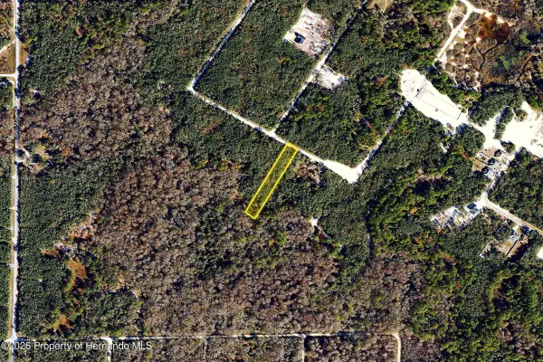 0 Medicine Stone Drive, Webster, FL 33597