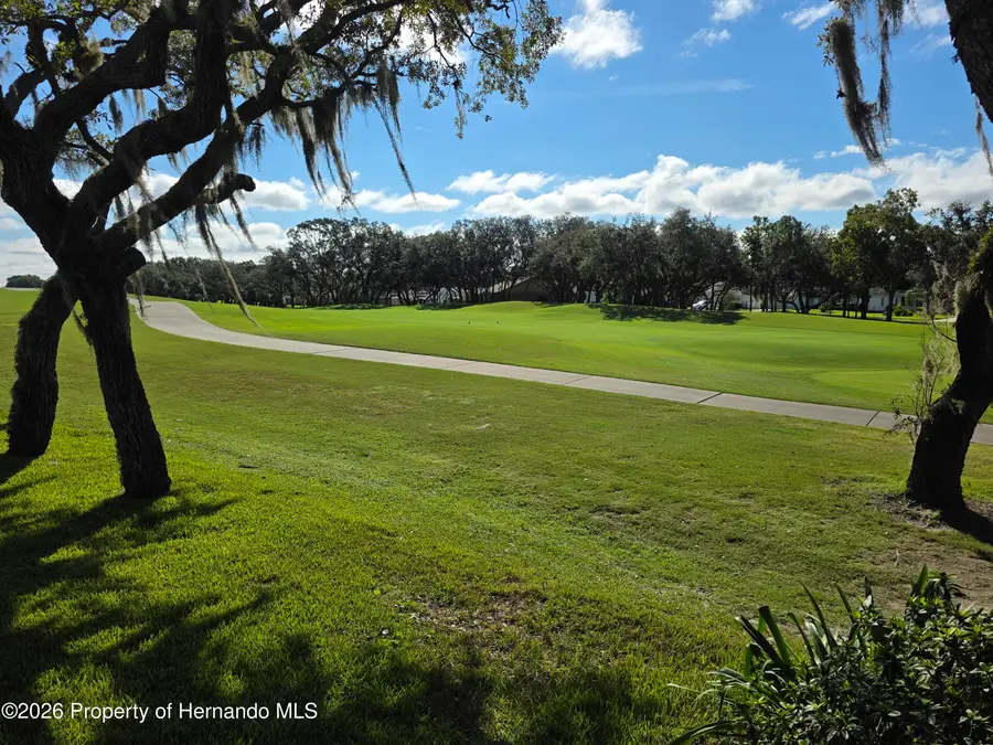 7358 Woodhollow Road, Spring Hill, FL 34606 - #2