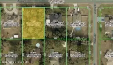 12756 Coronado Drive, Spring Hill, FL 34609 - #2