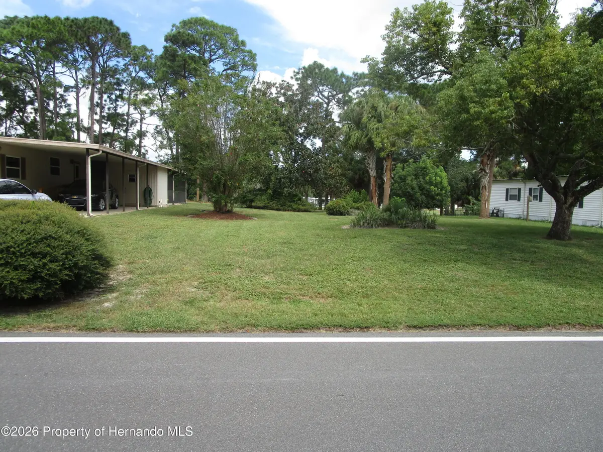 14769 Brookridge Boulevard, Brooksville, FL 34613 - #1