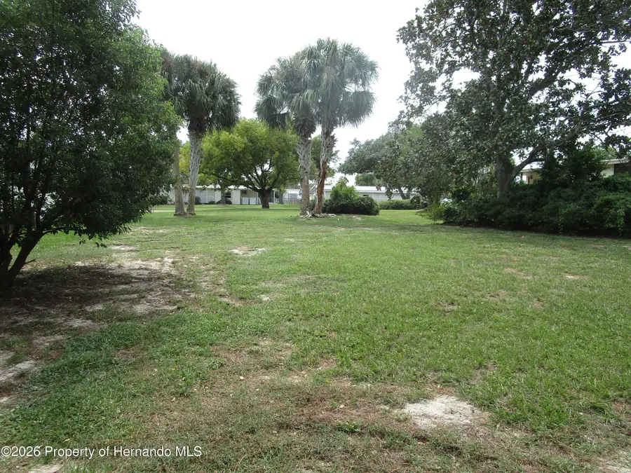 14769 Brookridge Boulevard, Brooksville, FL 34613 - #3