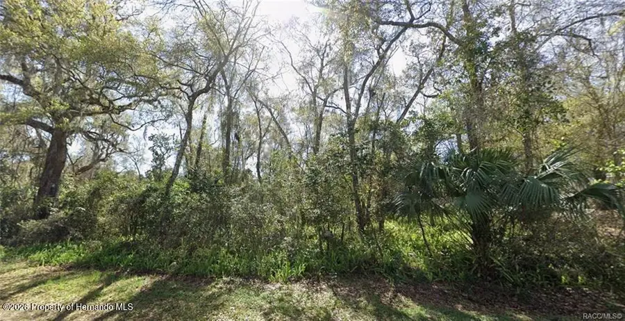 11400 E Salmon Drive, Floral City, FL 34436 - #2