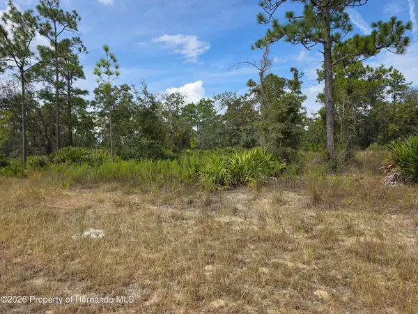00 Thrasher, Weeki Wachee, FL 34614