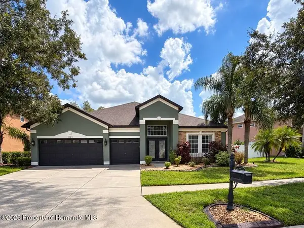 3124 Chessington Drive, Land O'Lakes, FL 34638