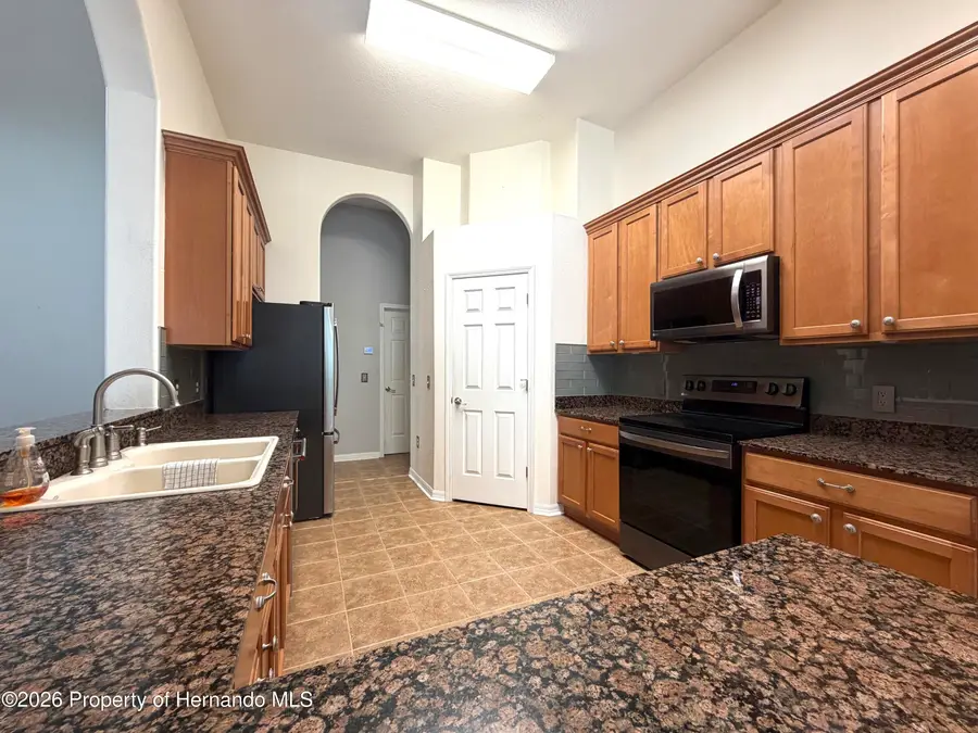 3124 Chessington Drive, Land O Lakes, FL 34638 - #3