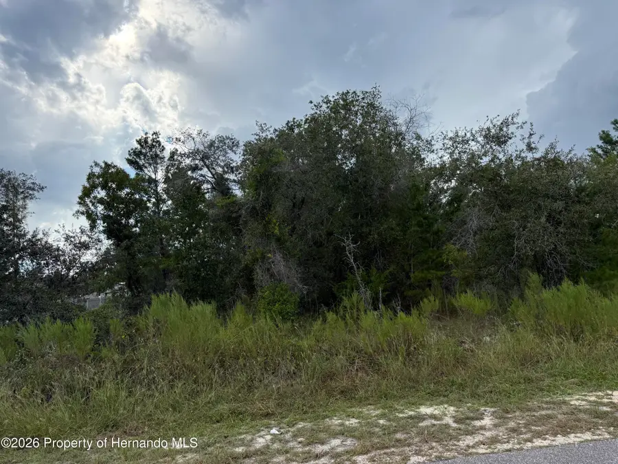 11023 Wren Road, Brooksville, FL 34613 - #3