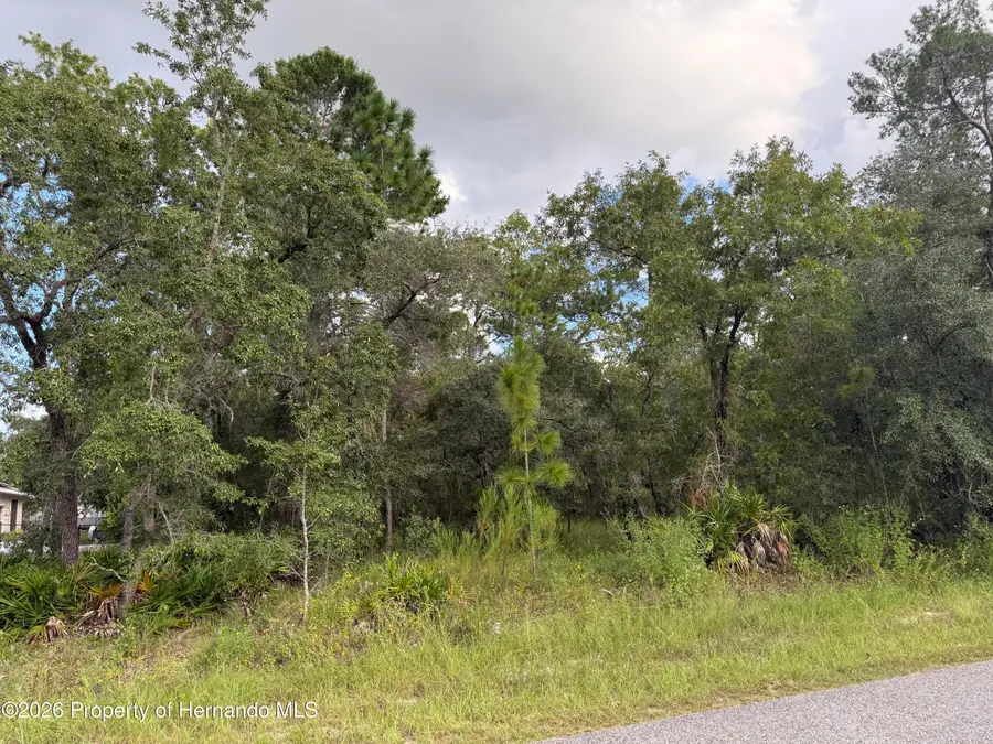 11192 Lomita Wren Road, Brooksville, FL 34614 - #2