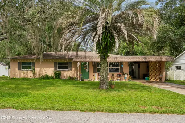 31017 Willow Bank Avenue, Brooksville, FL 34602