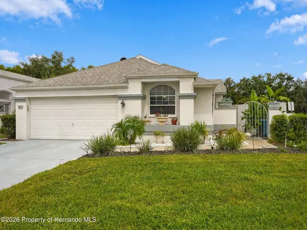 11031 Lapaz Court, Spring Hill, FL 34608