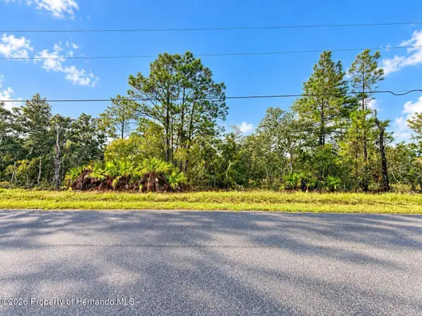 13052 Jaywalk Road, Brooksville, FL 34614
