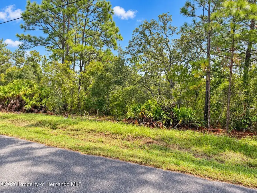 13052 Jaywalk Road, Brooksville, FL 34614 - #2