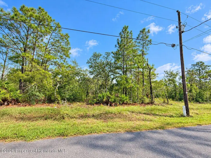 13052 Jaywalk Road, Brooksville, FL 34614 - #3