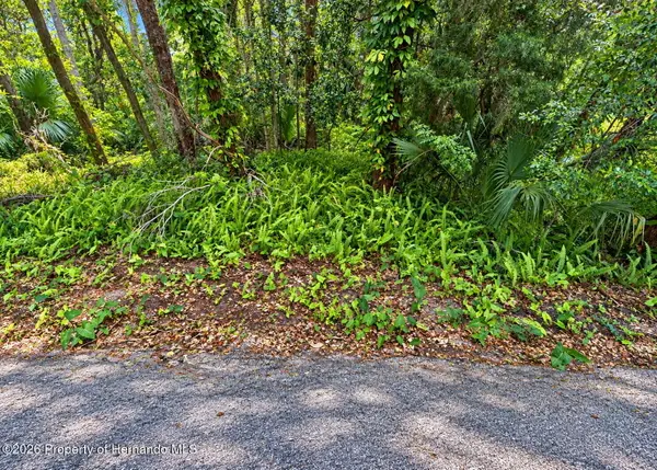 0 Olive Street, Brooksville, FL 34601