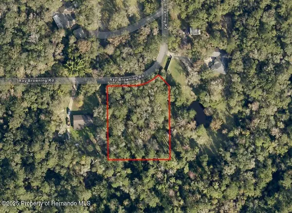 0 Ray Browning Road, Brooksville, FL 34601