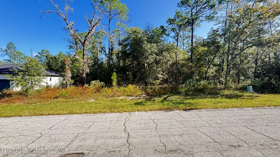 9629 N Pineview Way, Citrus Springs, FL 34434 - #2