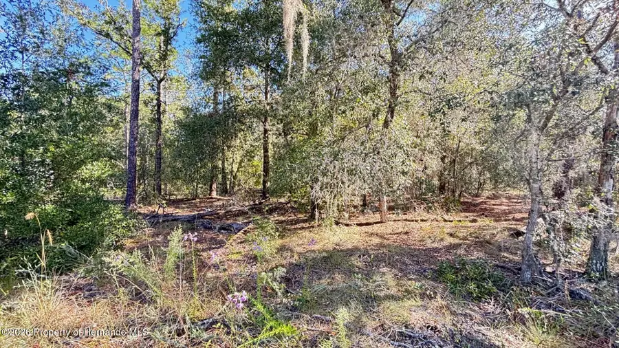 9629 N Pineview Way, Citrus Springs, FL 34434 - #3