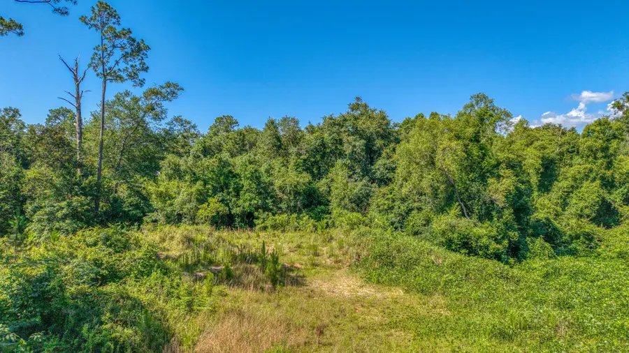 7349 Johnson, Milton, FL 32583 - #2