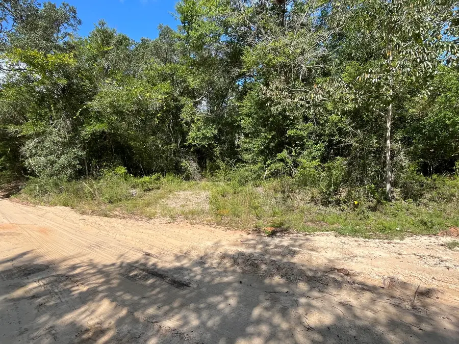 13 + AC Broxson, Holt, FL 32564 - #2