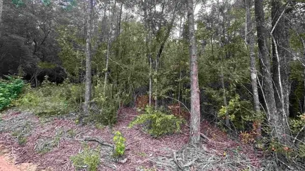 0000 Bailly Road, Milton, FL 32583