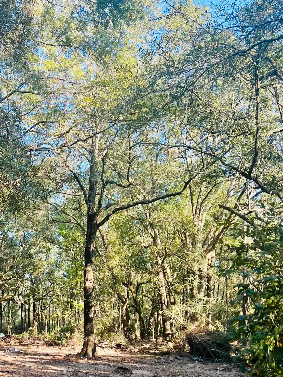 9499 Cornfield Way, Milton, FL 32583 - Image #3